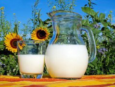 每天只喝牛奶减肥可以吗？