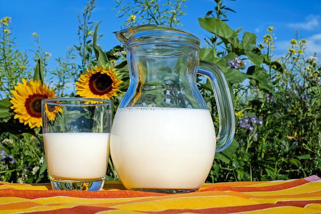 每天只喝牛奶减肥可以吗？